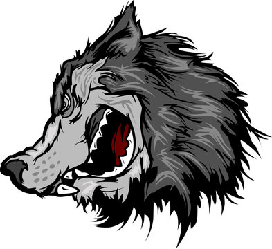 Wolf Mascot Head Vector Cartoon