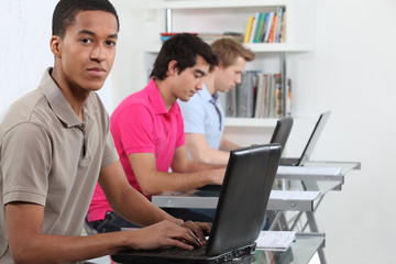 Young men working on their assignments in a computer lab - obrazy, fototapety, plakaty