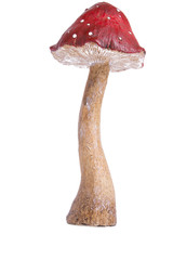 Vergiftung durch Pilz