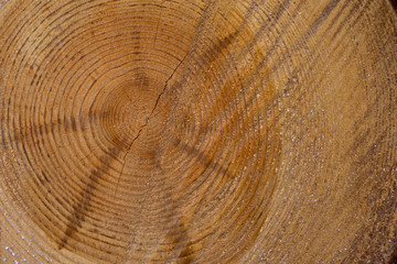 Naklejka premium Gesägt