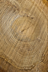 Naklejka premium Hartholz geschnitten