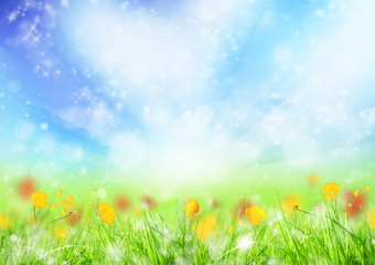Obraz na płótnie Canvas Beautiful spring meadow