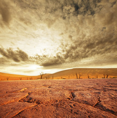 Namib