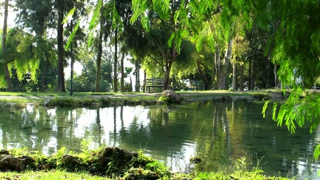 Park pool