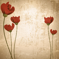 Vintage background with poppies