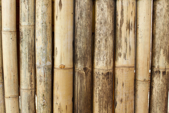 Old bamboo background