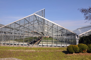 Obraz premium Gewächshaus