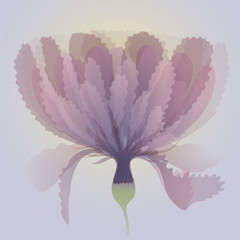 Abstract mauve flower