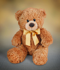 teddy bear toy picture