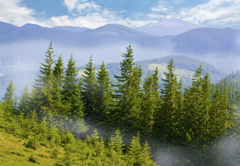 Nice mountain landscape