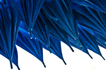 blue umbrellas