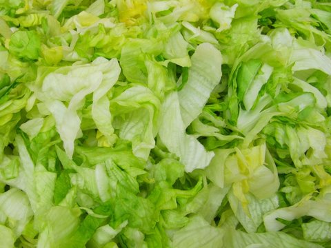 Ensalada de lechuga