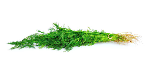 Fennel bunch on white background