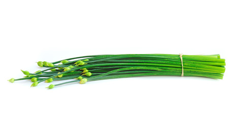 Obraz na płótnie Canvas green onion (Chive), isolated on the white background