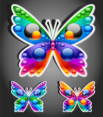 Colorful butterflies 6