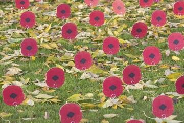 Remembrance 11 November 2011 - Poppies at the Menin Gate
