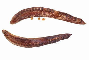 acacia seeds isolated on white background