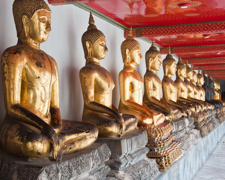golden image buddhas lined up