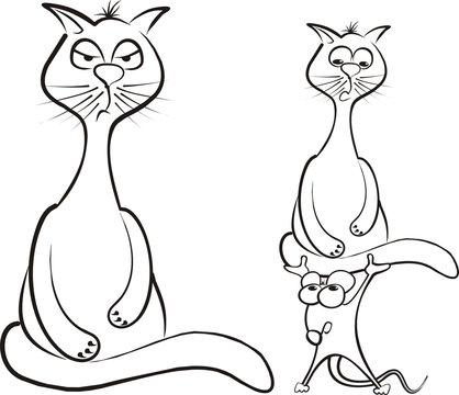 cat thinking