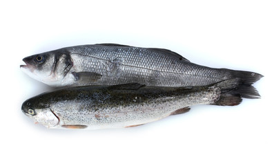 Fresh fishes isolated on white