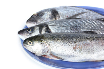 Fresh fishes on plate isolated on white