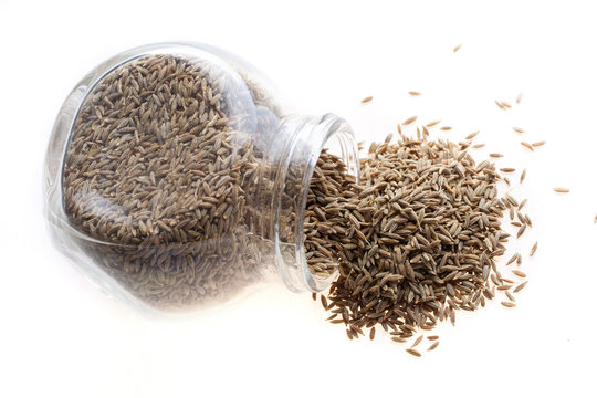 Tmin, caraway, cumin