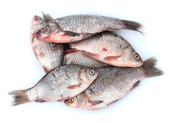 Fresh fishes isolated on white
