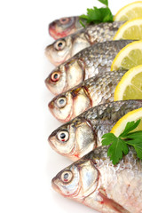 Fresh fishes with lemon and parsley isolated on white