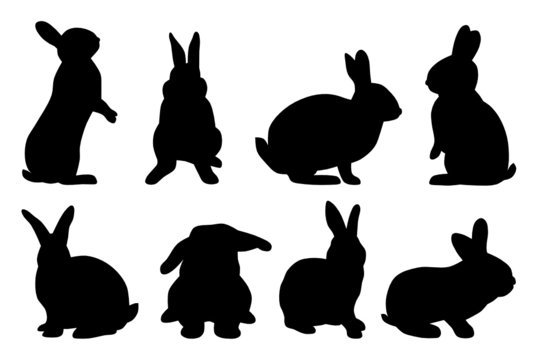 set of rabbit silhouettes