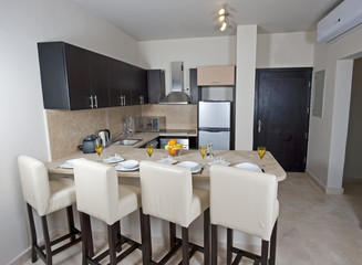 Luxury apartment interior design