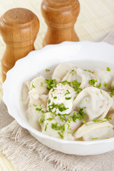 Traditional Russian cuisine. Pelmeni with broth
