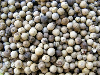 An assortment of pepper corns