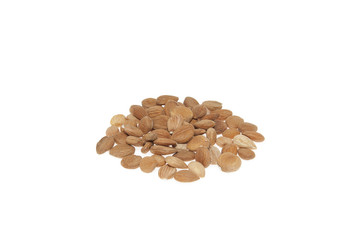 Apricot seeds