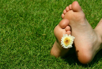 feet and the flower