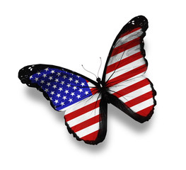 American flag butterfly, isolated on white