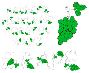 Vector green grape alphabet on a white background