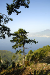 Fototapeta na wymiar Góra Monte Faito widokiem Neapol Włochy
