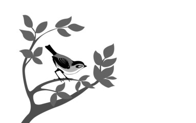 bird silhouette on wood branch