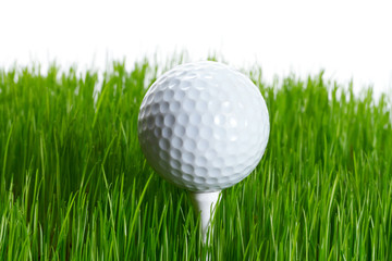 Golf ball on the tee in green grass over white