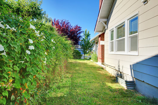 Grey House Side Front Yard With Green Flowers Fence.