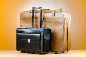 Luggage concept with big case