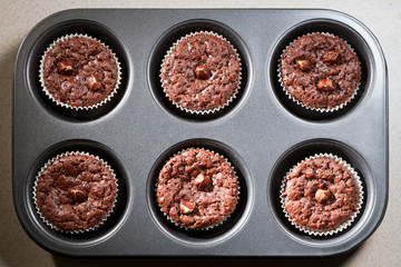 Six chocolate muffins in baking tray