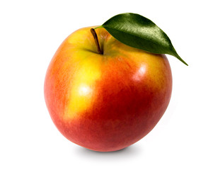 Fototapeta na wymiar big red apple