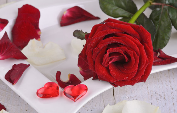 Romantik place setting with red roses and rose petals for lovers