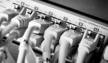 network cables
