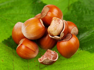 Hazelnut