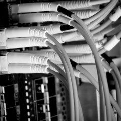 network cables