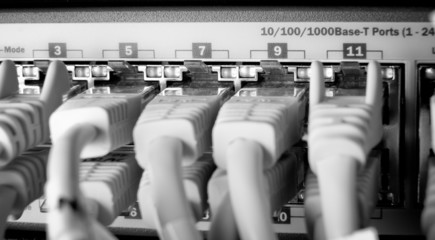 Fototapeta premium network cables