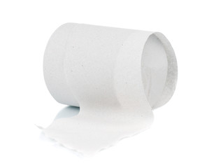 Toilet paper