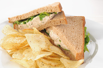 Tuna sandwich on wheat closeup